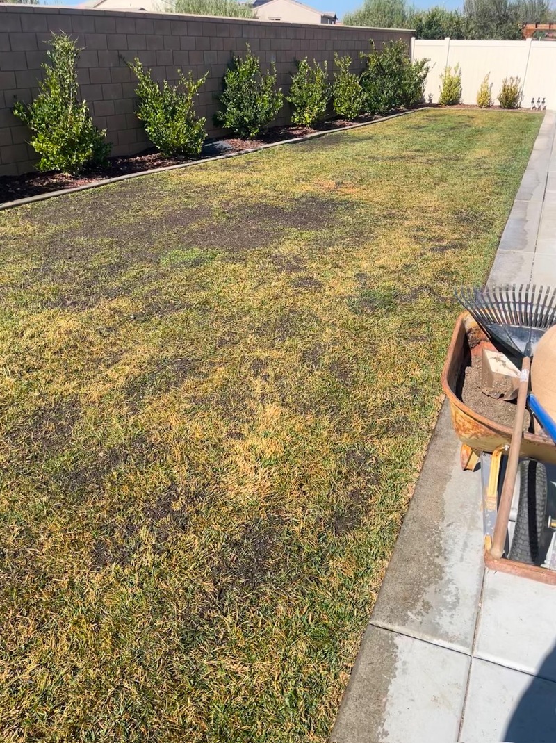 Dethatching, Seeding, and Topsoil - Feb 2025